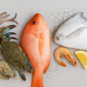 خرید ماهی تازه جنوب