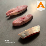 خرید ماهی مقوا سفید