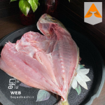 خرید ماهی مقوا سفید