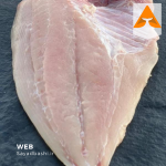 خرید ماهی مقوا سفید