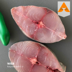 خرید ماهی شیر