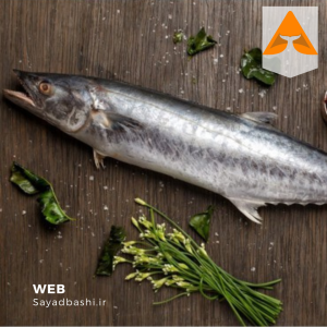 ماهی شیر تازه جنوب