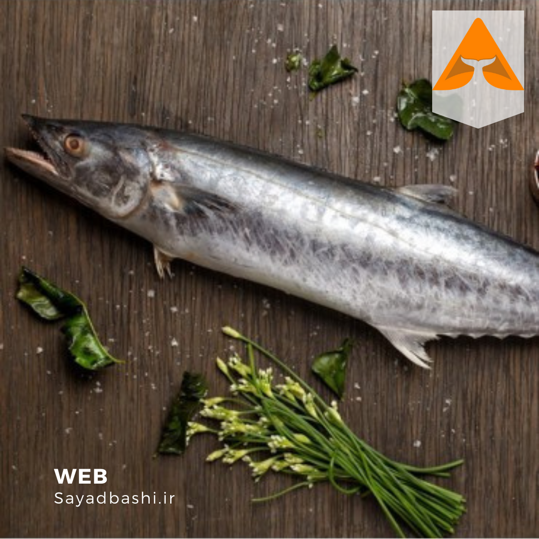 ماهی شیر تازه جنوب