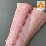 خرید ماهی شیر