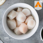 خرید صدف اسکالوپ