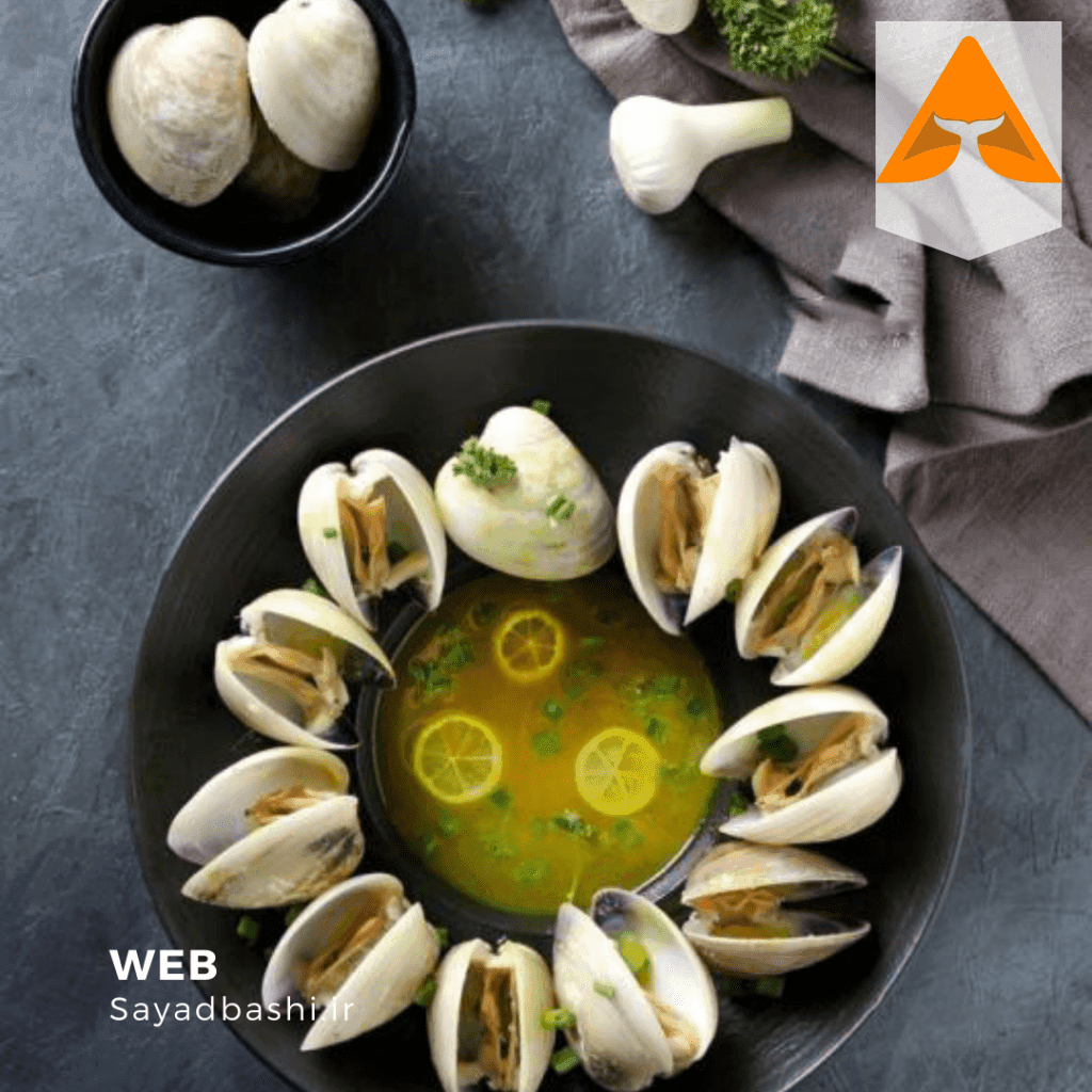 خرید صدف دوکفه ای