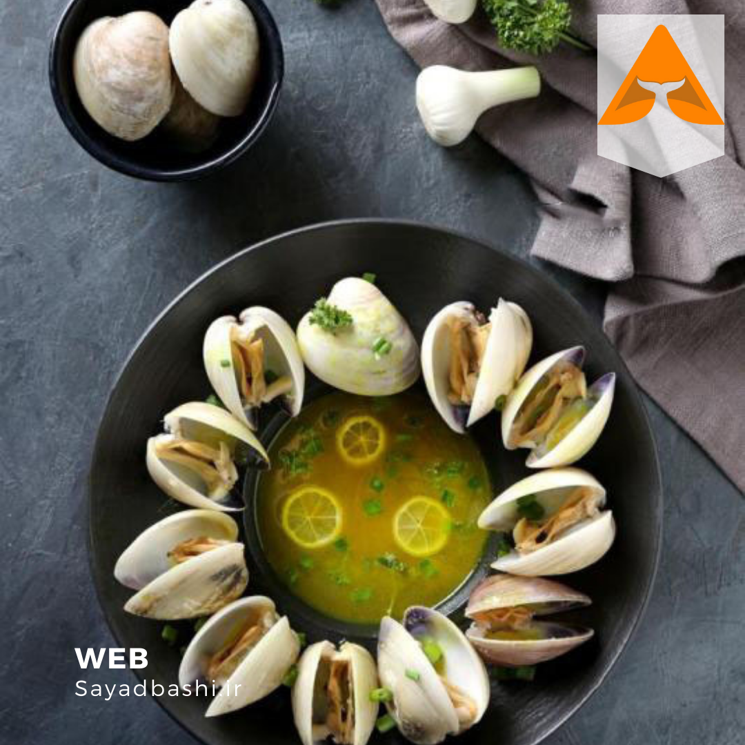 خرید صدف دوکفه ای