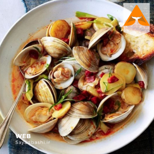 صدف دوکفه‌ای تازه جنوب | صید روز بندرعباس | صیادباشی