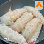 خرید لابستر سرپهن