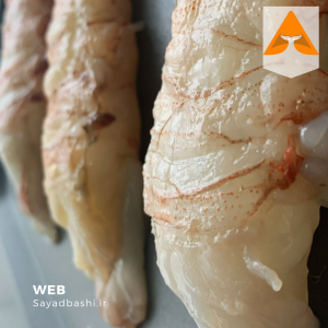 لابستر شاخدار تازه جنوب | صید روز بندرعباس | صیادباشی