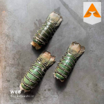 خرید لابستر شاخدار