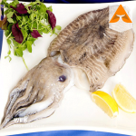 خرید ماهی مرکب