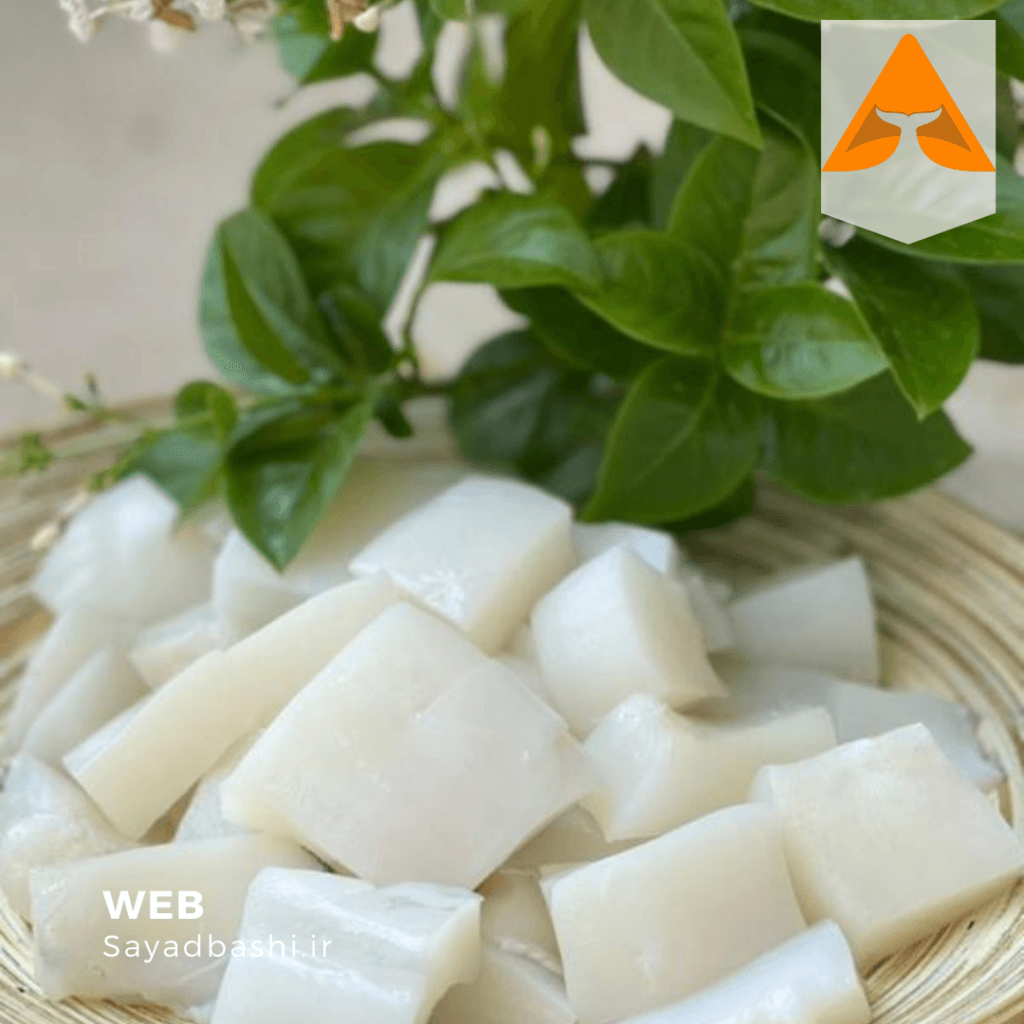 خرید ماهی مرکب