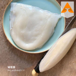 خرید ماهی مرکب