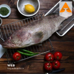 ماهی هاموور