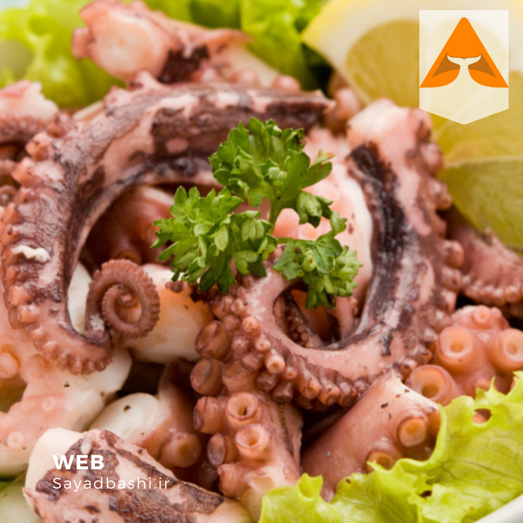 خرید هشت پا