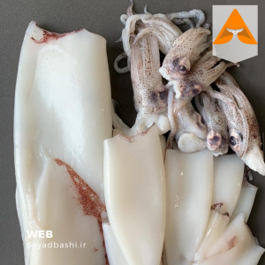 کالاماری تازه جنوب | حلقه‌ شده / پاک‌ شده | صید روز بندرعباس | مناسب سوخاری و گریل